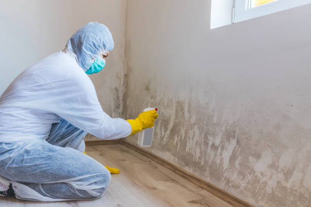 Mold Remediation specialist working in Island Lake