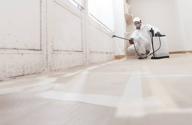 Black mold remediation team in Island Lake